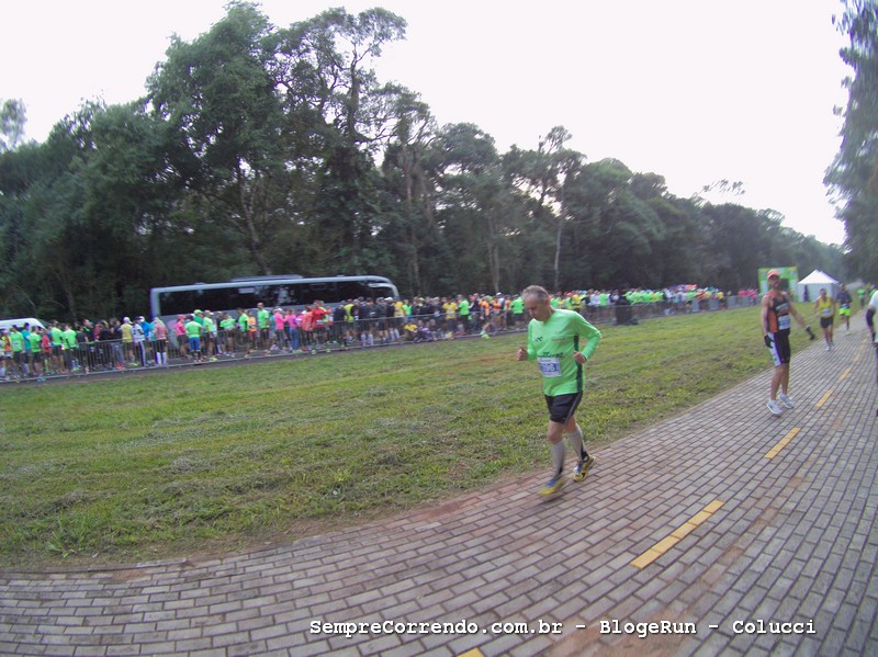 Meia das Cataratas 2016  TomTom